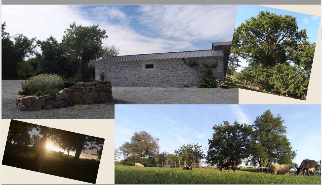 American Diner Sur La Site The Farm Ouest Capacite 7 Personnes Holiday home